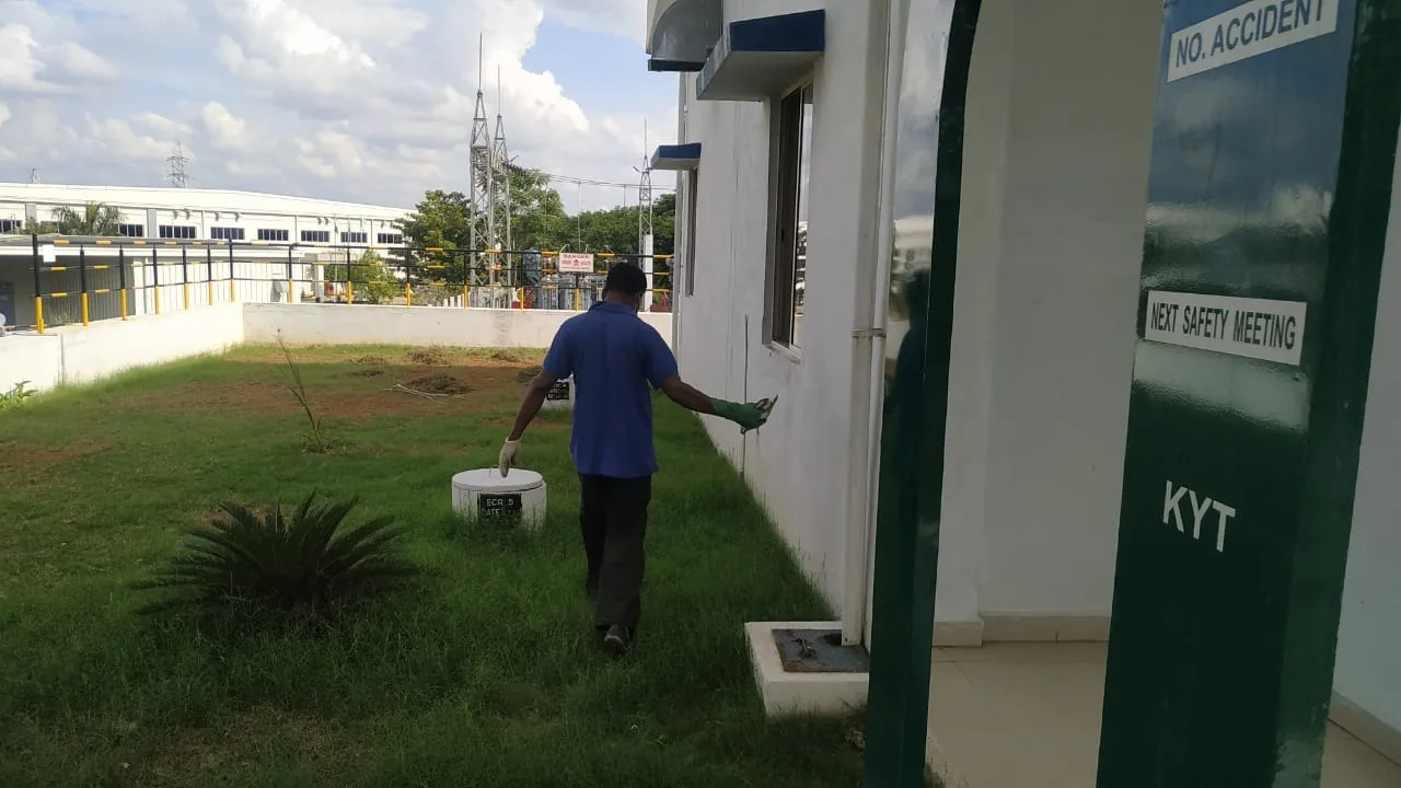 Pest Control Service