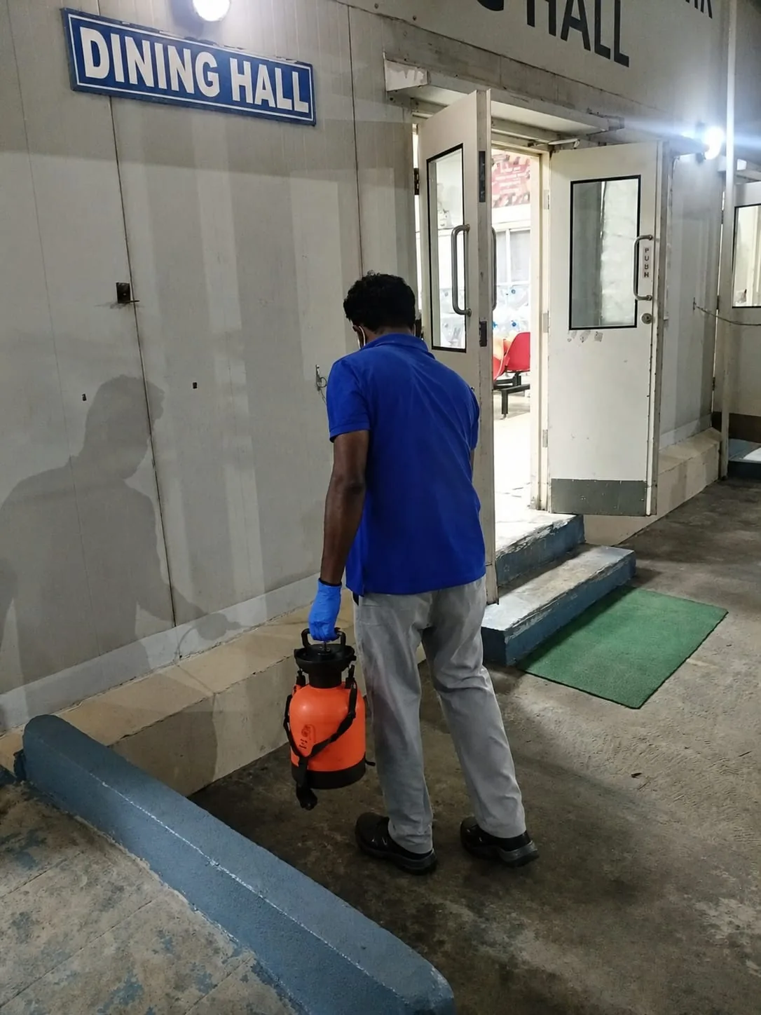 Pest control treatment result Bangalore