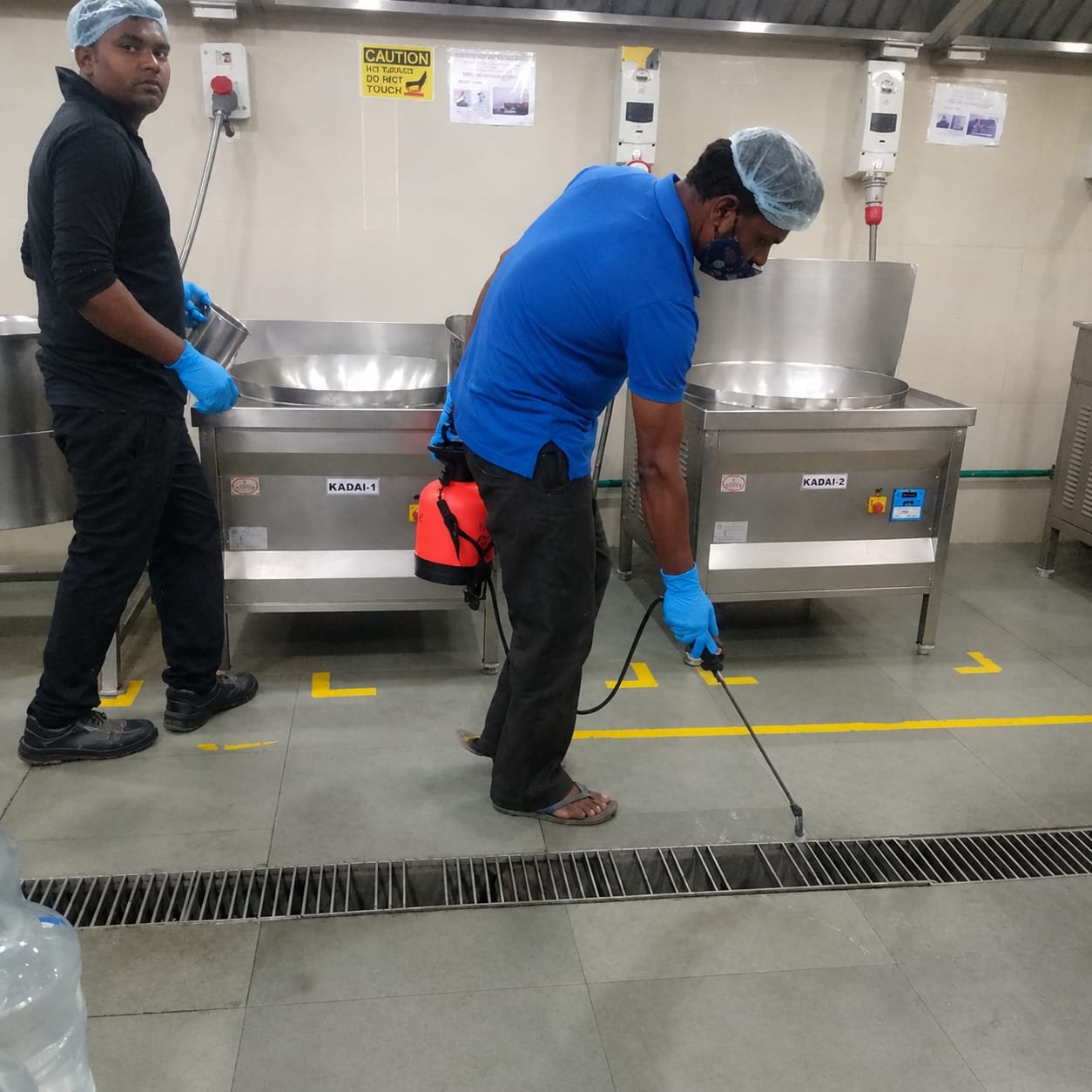 Pest control treatment result Bangalore