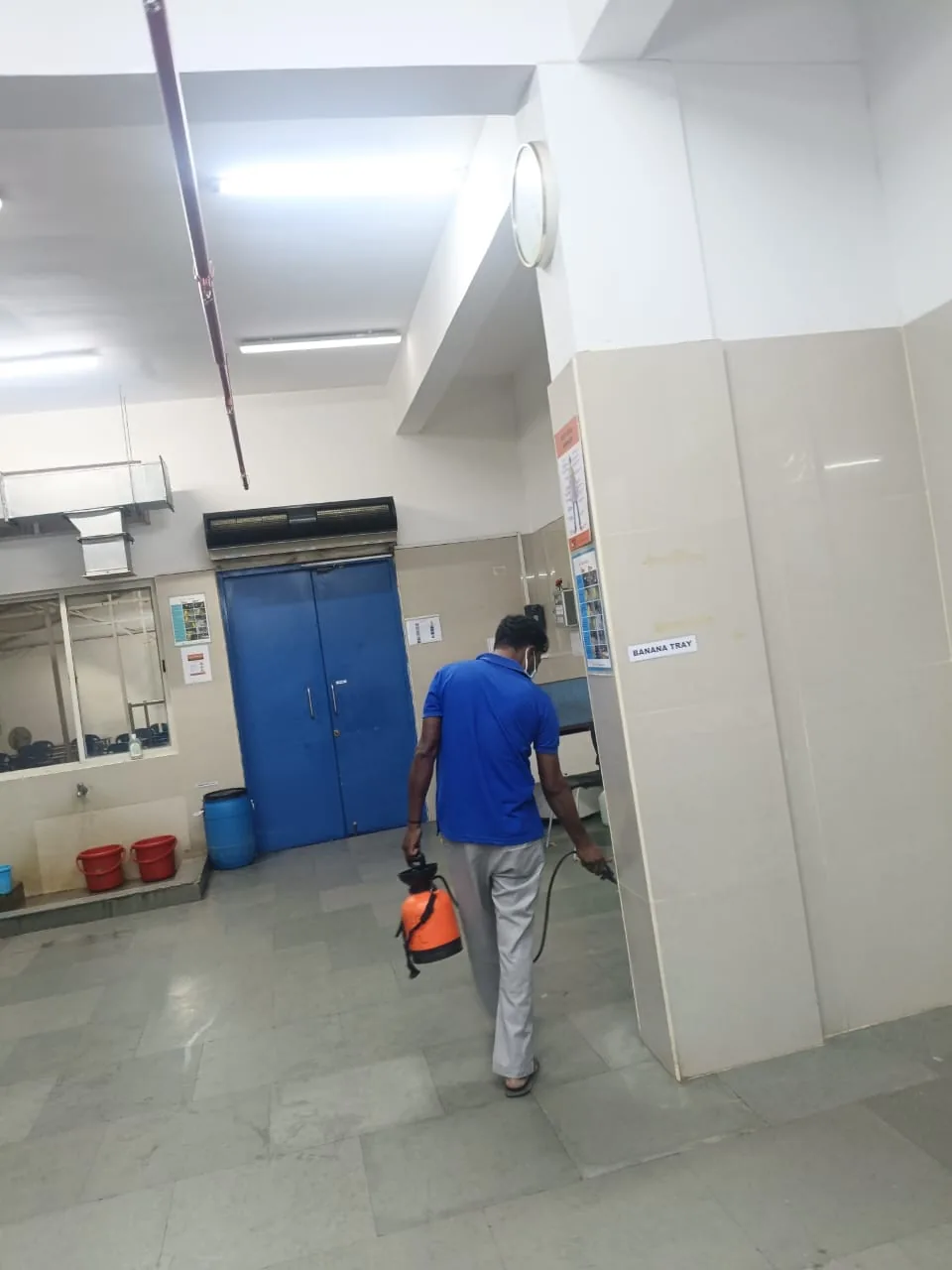 Professional pest control inspection inside a school or college campus in Bangalore