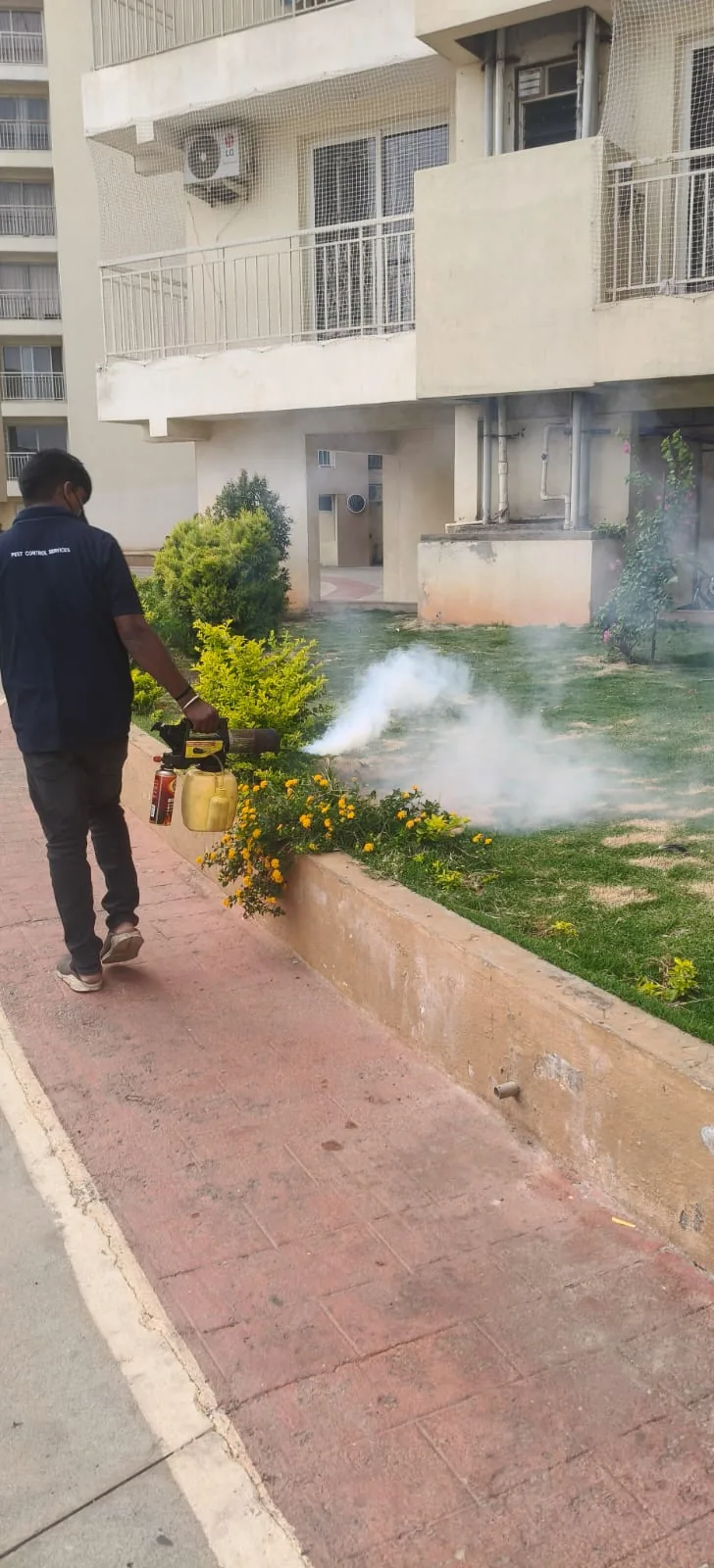 Pest control treatment result Bangalore
