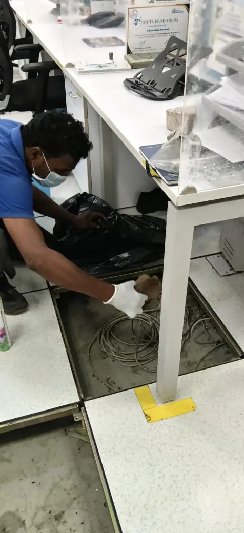 Commercial cockroach treatment TC Palya