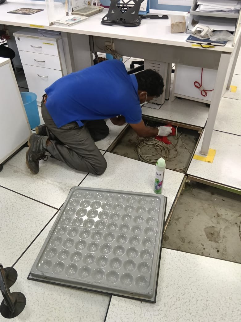Commercial rodent treatment Anjanapura