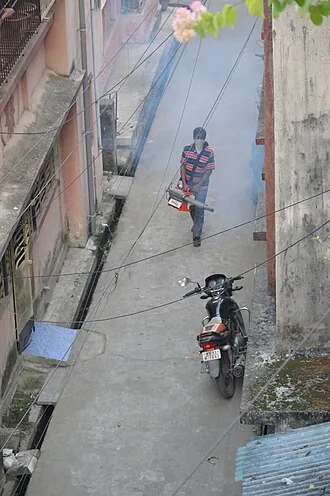 Mosquito fogging treatment Bangalore