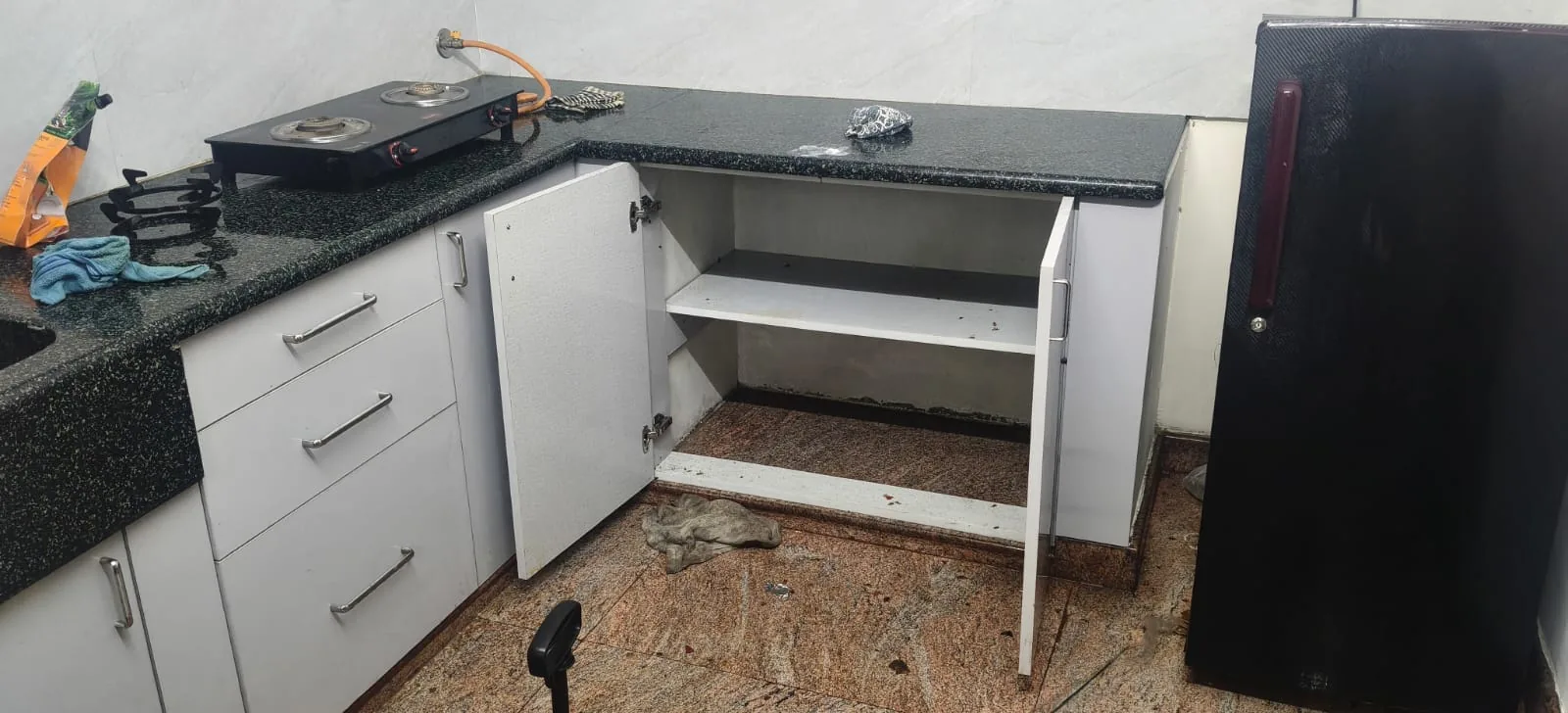 Real cockroach treatment result Bangalore