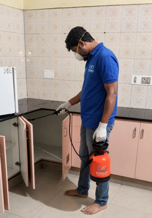 Residential pest control treatment for homes in Bangalore