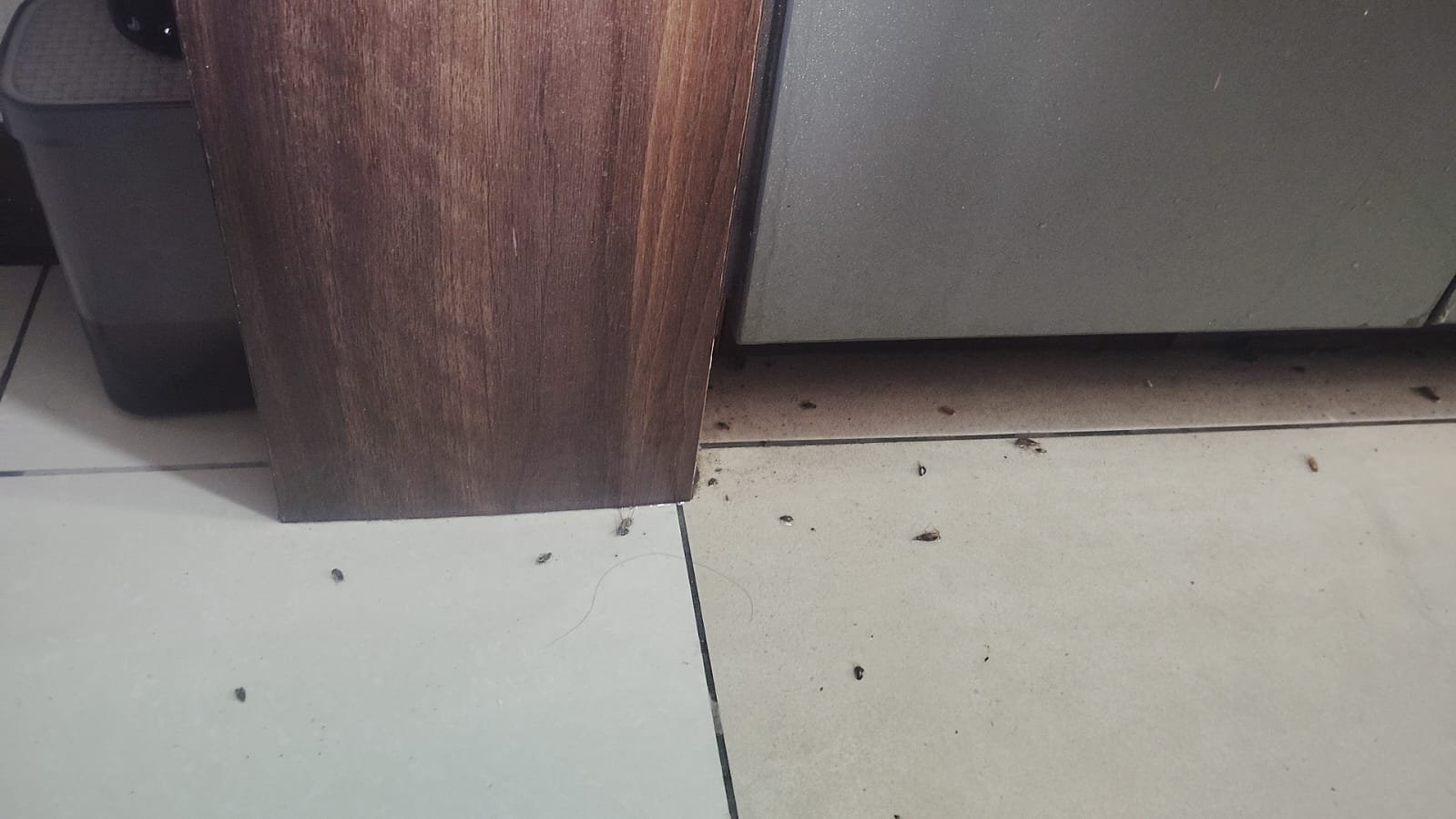 Pest control treatment result Bangalore
