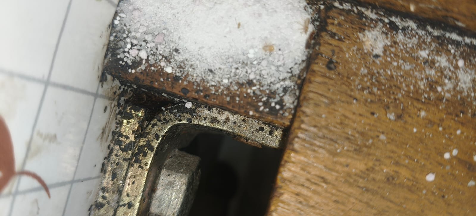 Pest control treatment result Bangalore