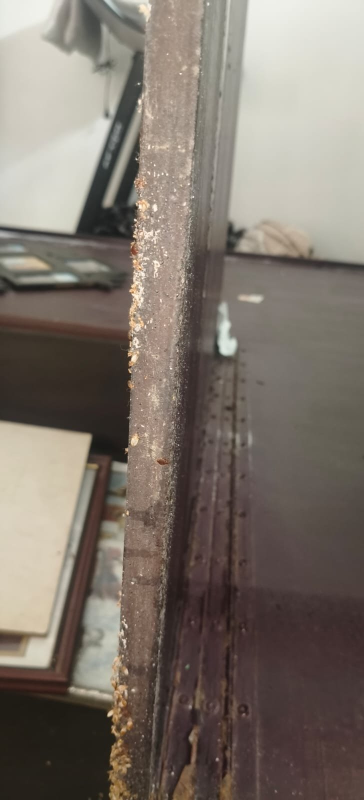 Pest control treatment result Bangalore