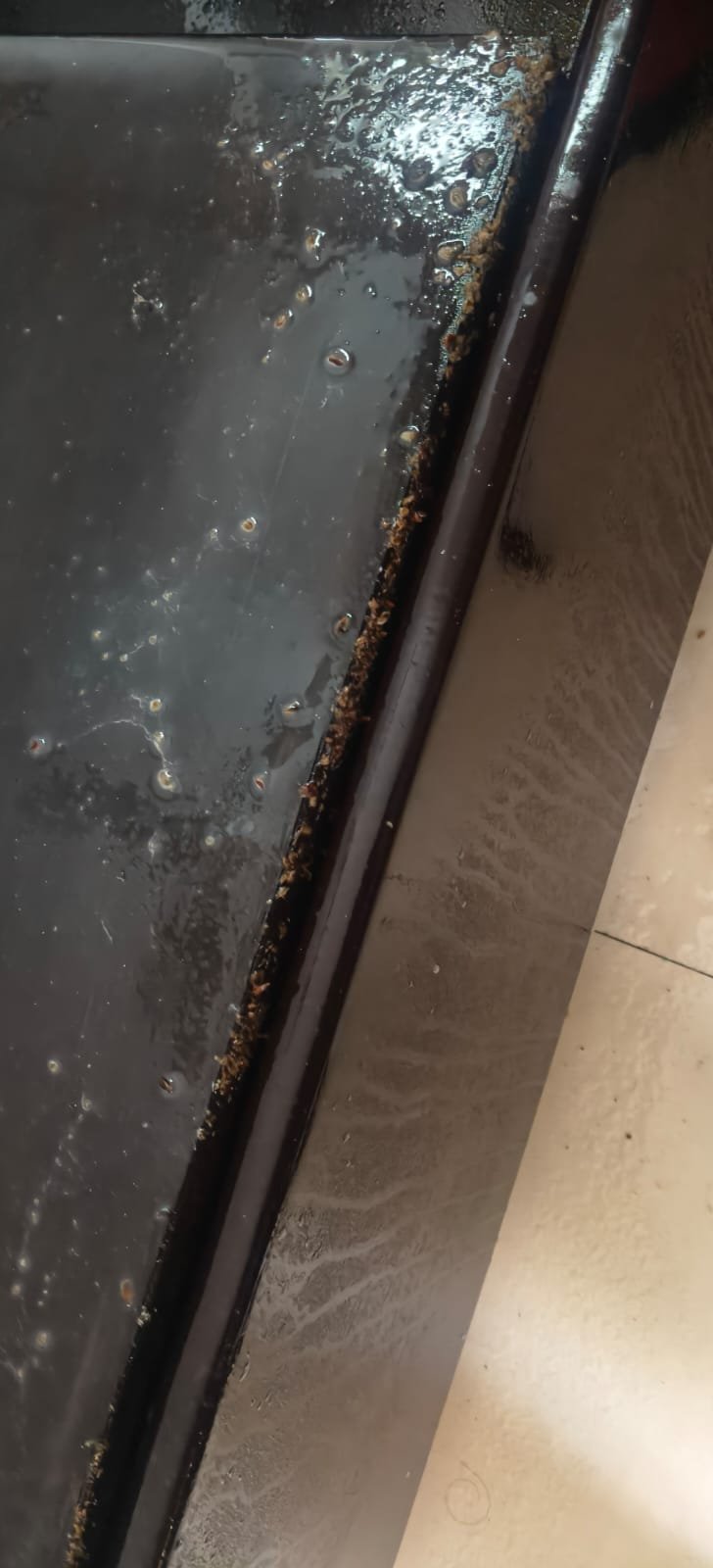 Pest control treatment result Bangalore