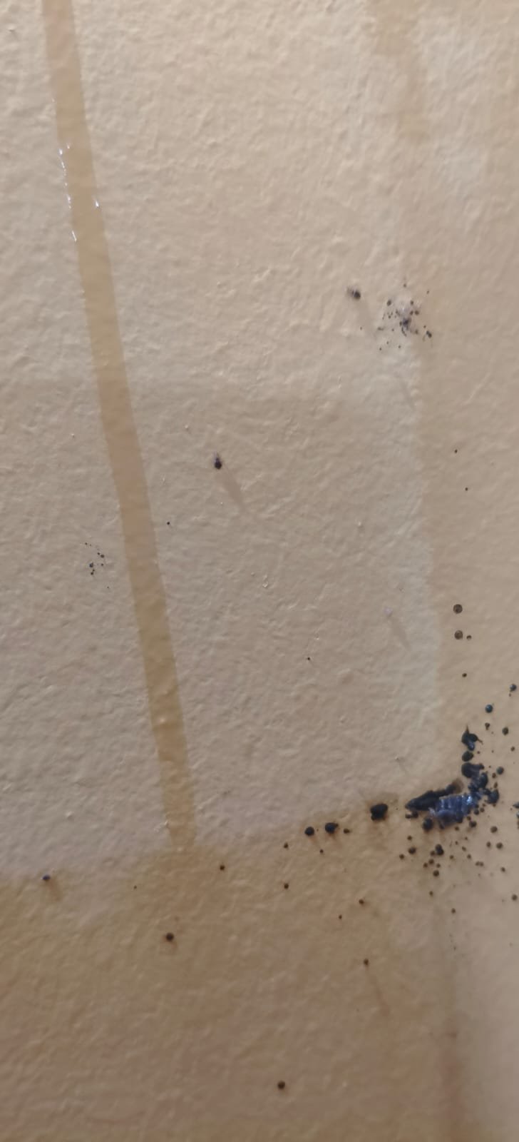 Pest control treatment result Bangalore