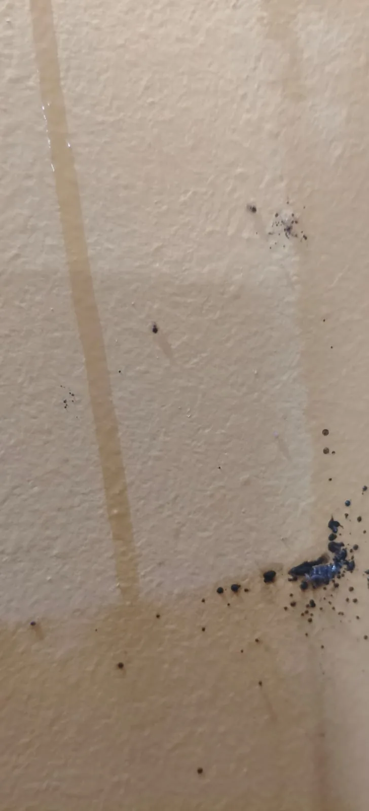 Pest control treatment result Bangalore