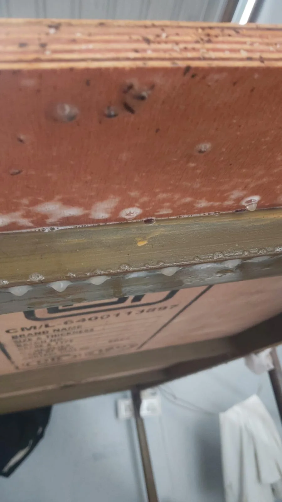 Pest control treatment result Bangalore