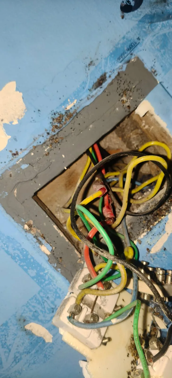 Pest control treatment result Bangalore