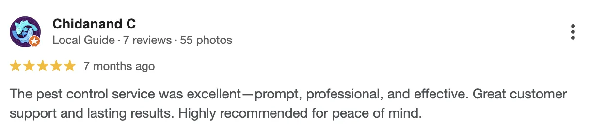 Google Review 2