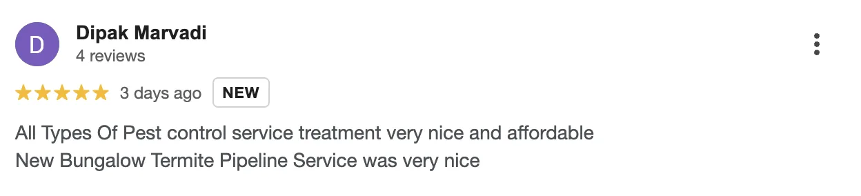 Google Review 4